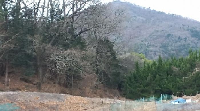 경상남도 거제시 연초면 죽토리 622 임야 경매 사진 11