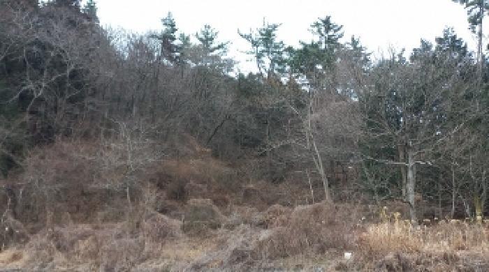 경상남도 거제시 연초면 죽토리 622 임야 경매 사진 13