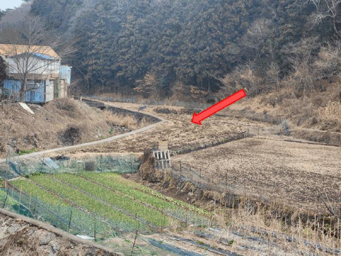 경상남도 거제시 연초면 죽토리 622 임야 경매 사진 2