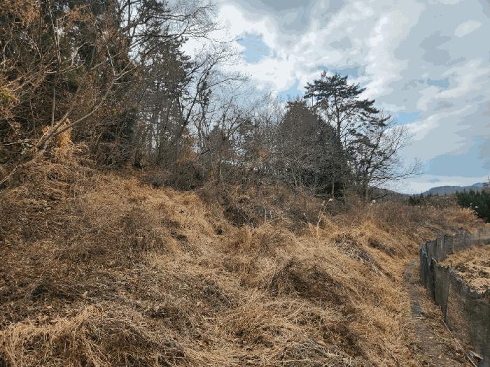 경상남도 거제시 연초면 죽토리 622 임야 경매 사진 3