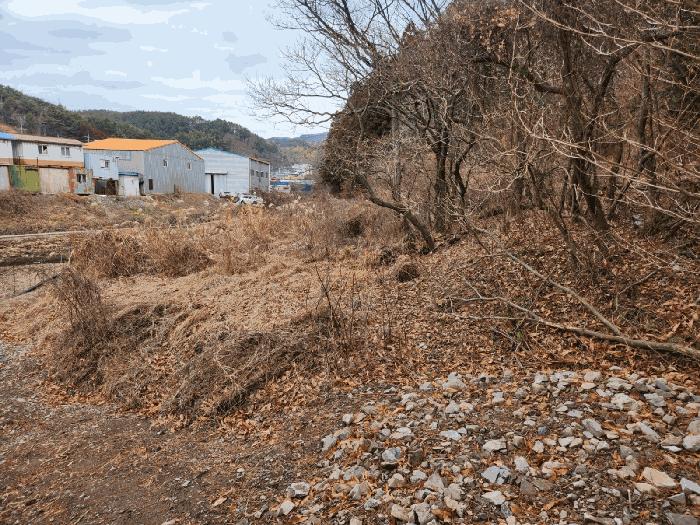 경상남도 거제시 연초면 죽토리 622 임야 경매 사진 4
