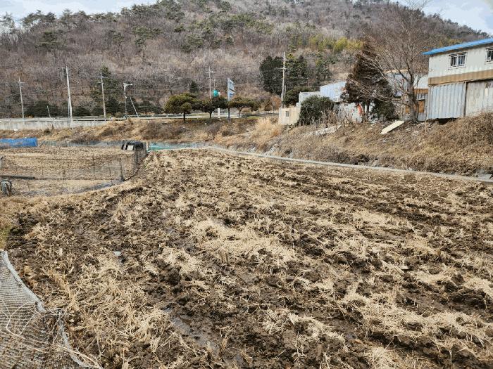 경상남도 거제시 연초면 죽토리 622 임야 경매 사진 5
