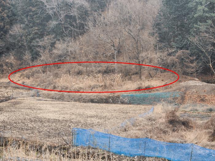 경상남도 거제시 연초면 죽토리 622 임야 경매 사진 6