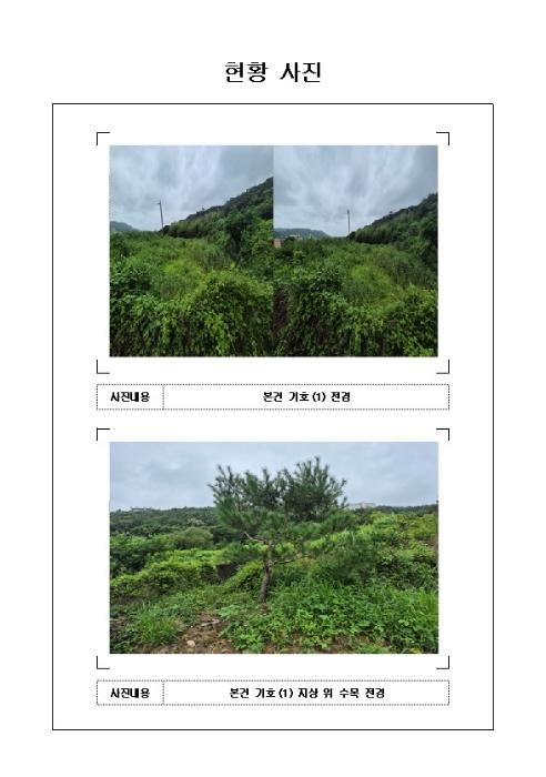 전라남도 영암군 학산면 독천리 96-3 전 경매 사진 14