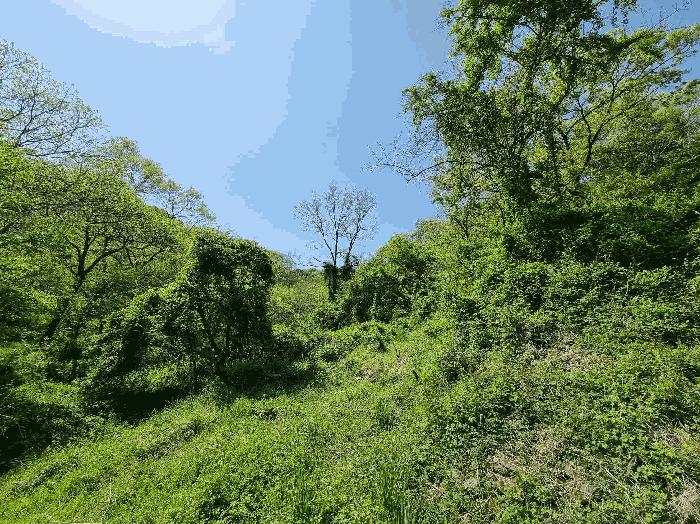 전라남도 함평군 나산면 수상리 60 전 경매 사진 22