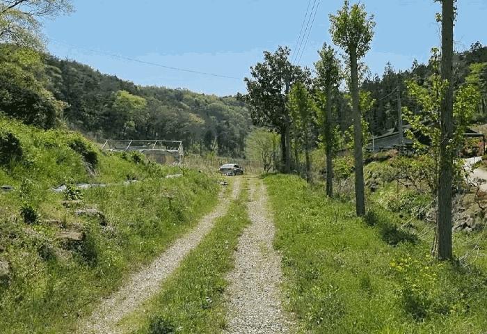 전라남도 함평군 나산면 수상리 60 전 경매 사진 26