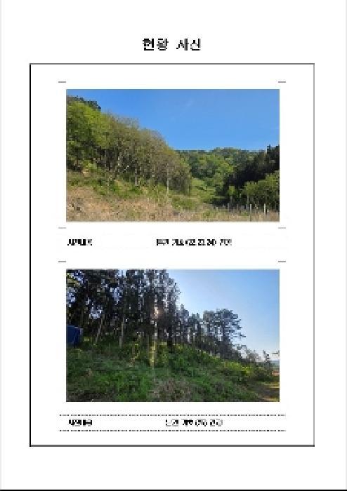 전라남도 함평군 나산면 수상리 60 전 경매 사진 42