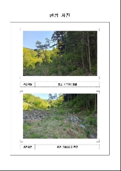 전라남도 함평군 나산면 수상리 65 임야 경매 사진 35