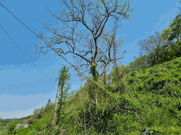 전라남도 함평군 나산면 수상리 72 전 경매 사진 1