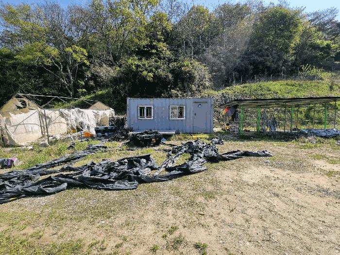 전라남도 함평군 나산면 수상리 72 전 경매 사진 20