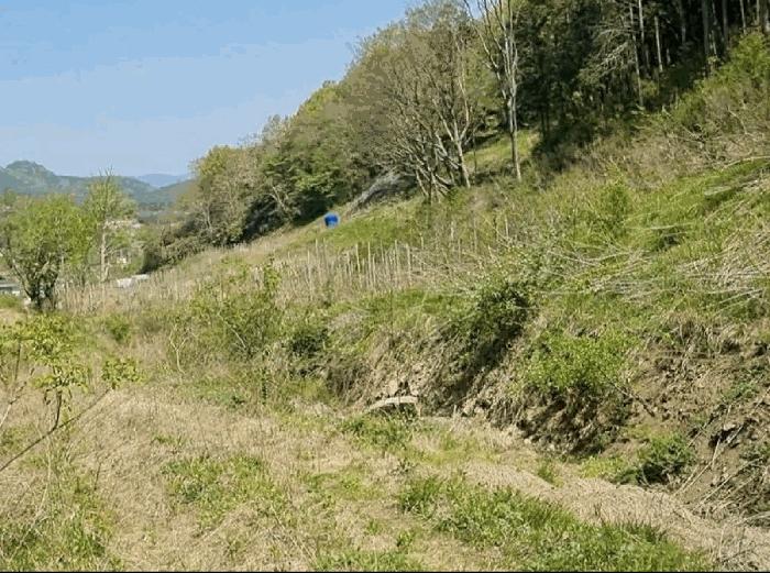 전라남도 함평군 나산면 수상리 산179 임야 경매 사진 17