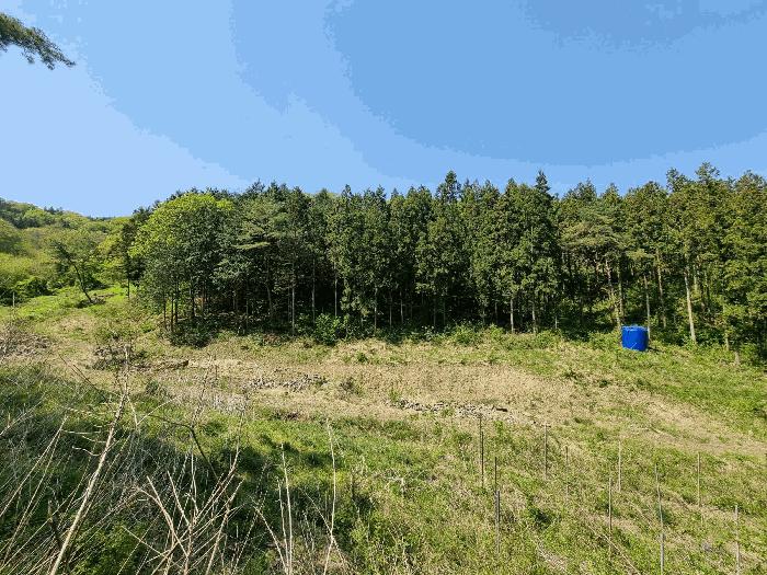 전라남도 함평군 나산면 수상리 산179 임야 경매 사진 18