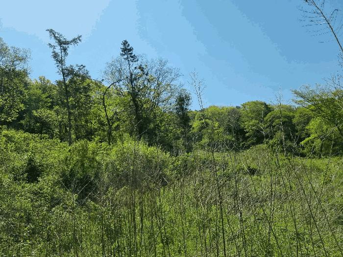 전라남도 함평군 나산면 수상리 산182 임야 경매 사진 16