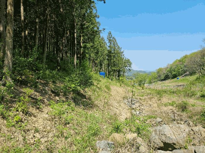 전라남도 함평군 나산면 수상리 산182 임야 경매 사진 29