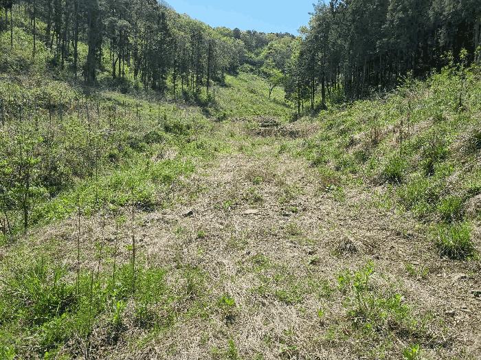 전라남도 함평군 나산면 수상리 산192 임야 경매 사진 34