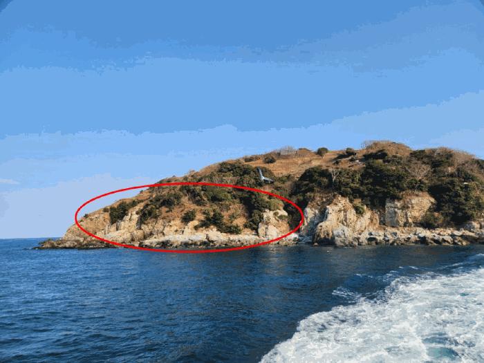 경상남도 통영시 한산면 매죽리 산56-1 임야 경매 사진 1