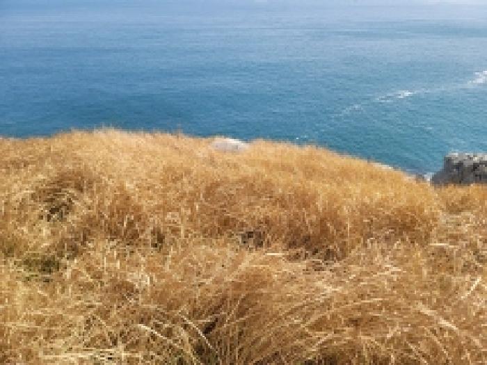경상남도 통영시 한산면 매죽리 산56-1 임야 경매 사진 10