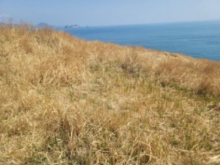 경상남도 통영시 한산면 매죽리 산56-1 임야 경매 사진 16