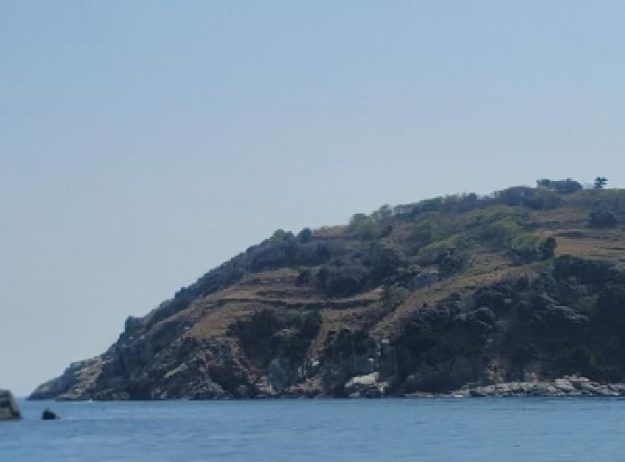 경상남도 통영시 한산면 매죽리 산56-1 임야 경매 사진 6