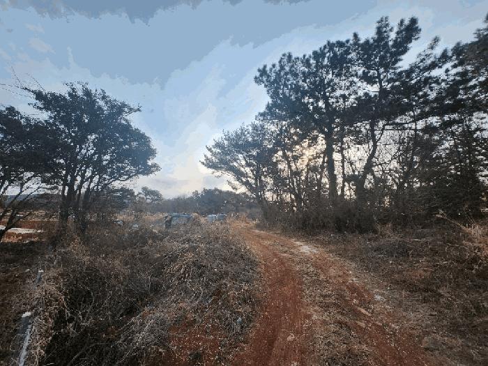 경상남도 통영시 용남면 원평리 375 전 경매 사진 5