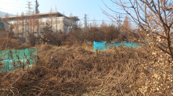 경상남도 거제시 상동동 684 답 경매 사진 4