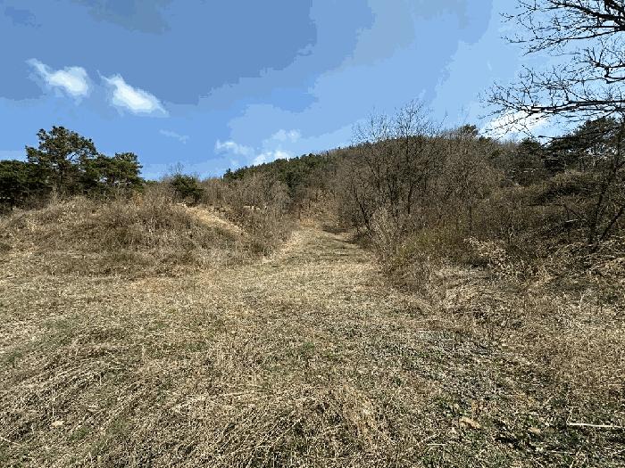 전북특별자치도 무주군 무주읍 오산리 918 전 경매 사진 6