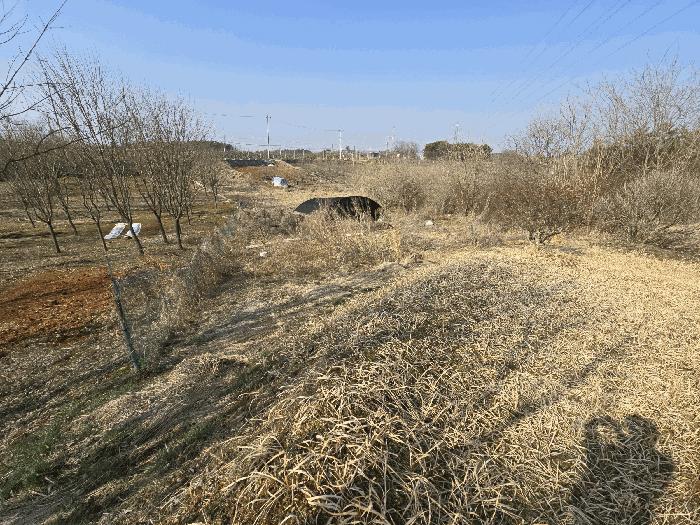 전북특별자치도 전주시 덕진구 성덕동 33-11 전 경매 사진 2