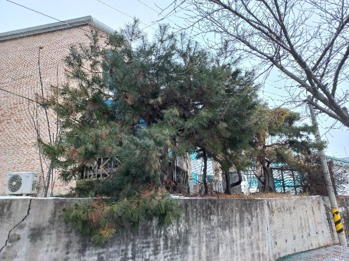전북특별자치도 남원시 노암동 301-12 상가 경매 사진 2