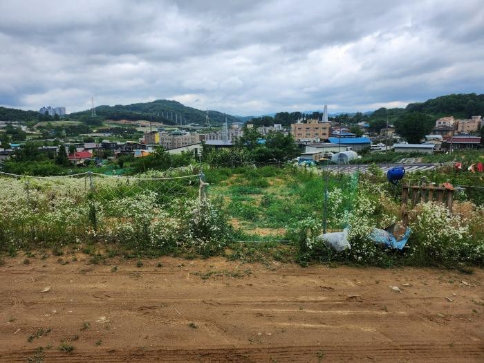 세종 연기면 전