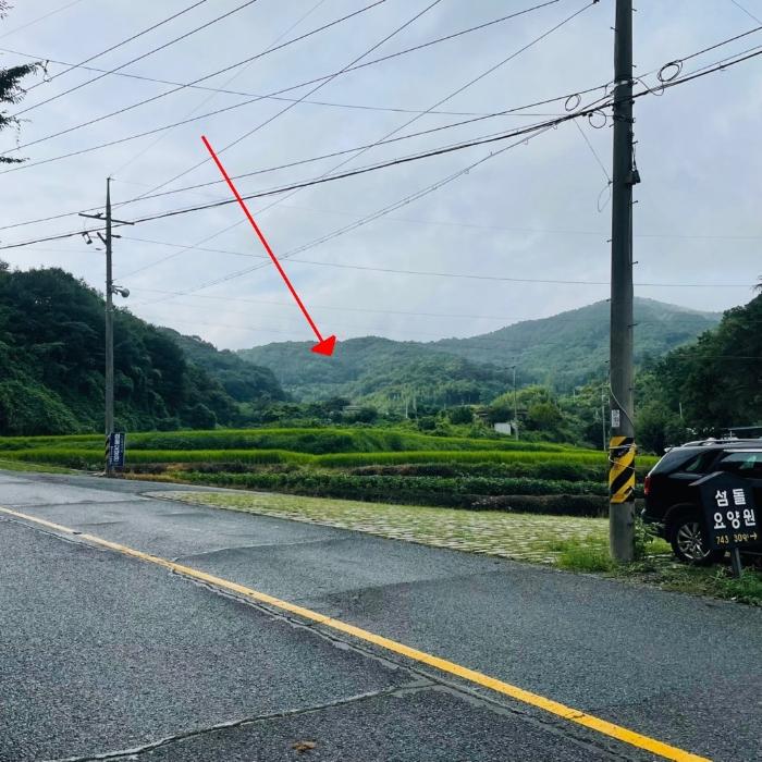 전라남도 순천시 별량면 대룡리 817 임야 경매 사진 1