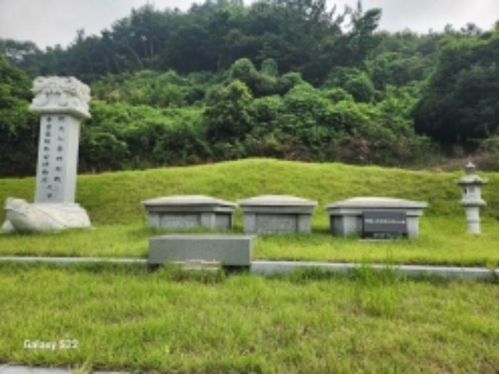 전라남도 순천시 별량면 대룡리 817 임야 경매 사진 22