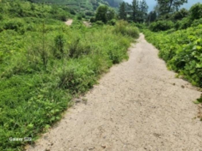 전라남도 순천시 별량면 대룡리 817 임야 경매 사진 28