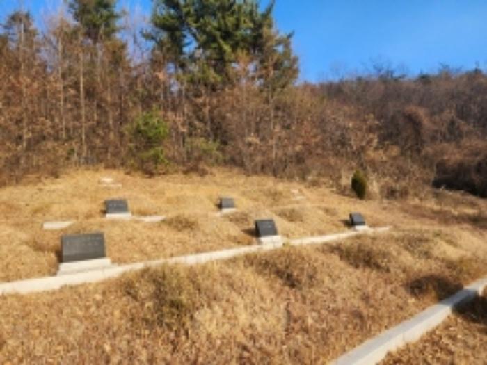 전라남도 여수시 화양면 용주리 1204-3 전 경매 사진 16