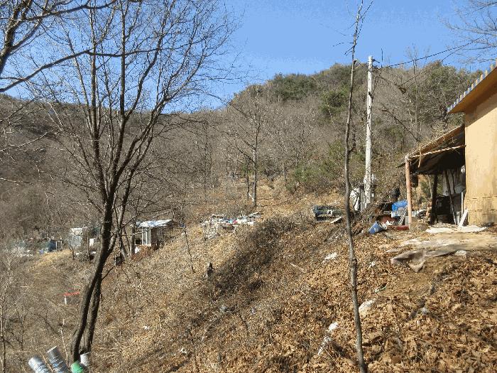 전라남도 순천시 삼거동 산266-1 임야 경매 사진 19