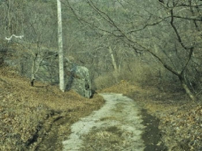 전라남도 순천시 삼거동 산266-1 임야 경매 사진 21