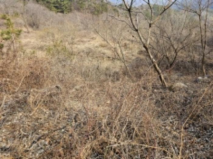 전라남도 순천시 삼거동 산266-1 임야 경매 사진 26