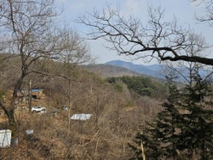전라남도 순천시 삼거동 산266-1 임야 경매 사진 28