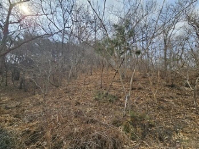 전라남도 순천시 삼거동 산266-1 임야 경매 사진 29