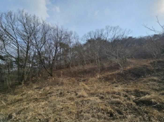 전라남도 순천시 삼거동 산266-1 임야 경매 사진 34