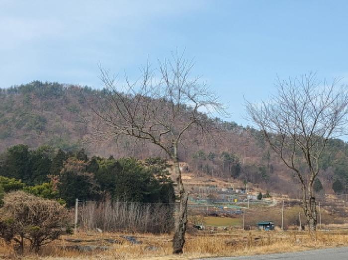 전라남도 순천시 삼거동 산266-1 임야 경매 사진 36