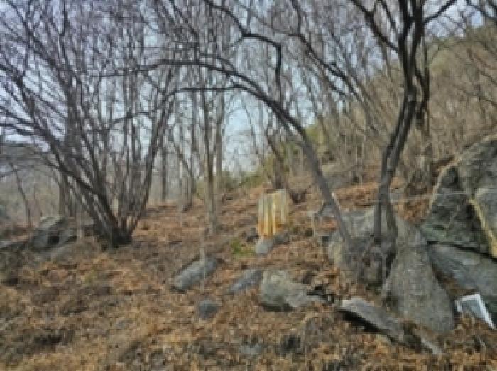 전라남도 순천시 삼거동 산266-1 임야 경매 사진 42