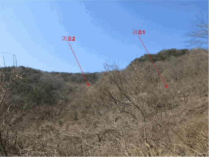 전라남도 순천시 삼거동 산266-1 임야 경매 사진 5