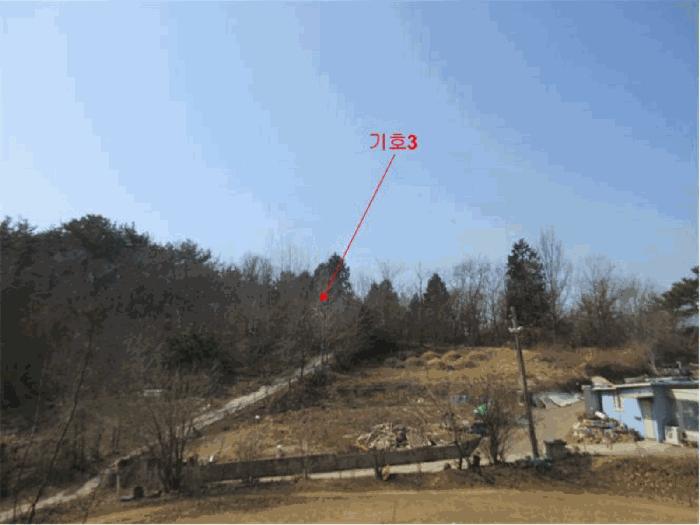 전라남도 순천시 삼거동 산266-1 임야 경매 사진 8