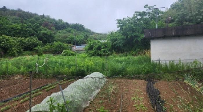 전라남도 여수시 율촌면 조화리 182-4 답 경매 사진 8