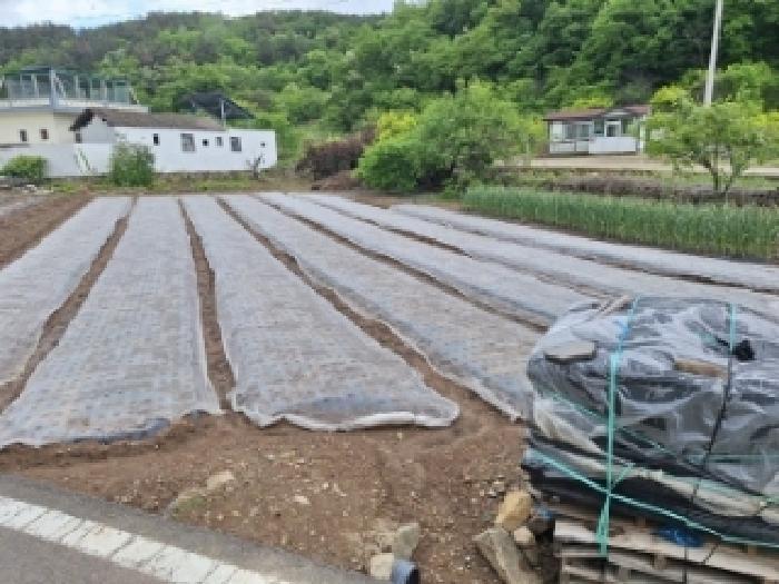 전라남도 광양시 광양읍 초남리 116-6 전 경매 사진 11