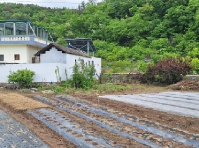 전라남도 광양시 광양읍 초남리 116-6 전 경매 사진 17