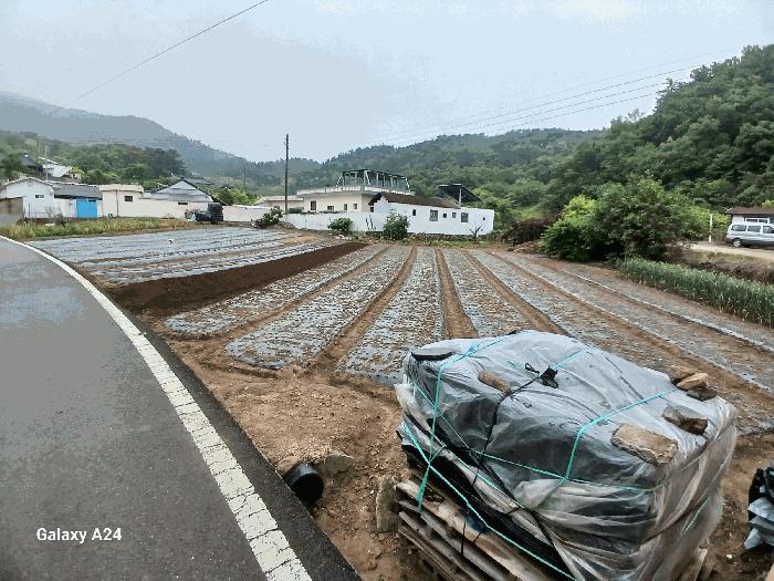 전라남도 광양시 광양읍 초남리 산117-1 임야 경매 사진 7
