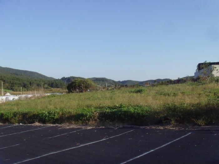 전라남도 완도군 신지면 월양리 1585-3 전 경매 사진 14
