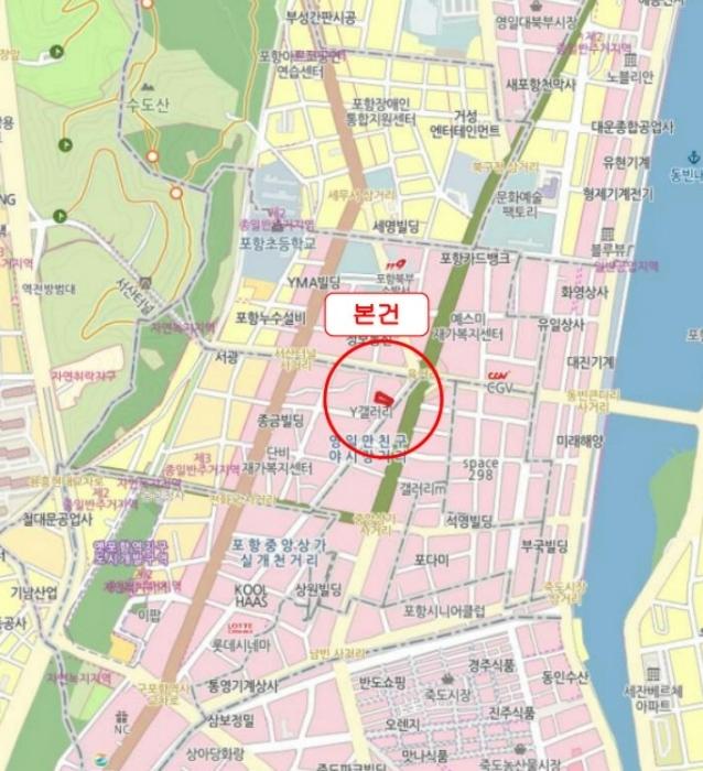 경상북도 포항시 북구 중앙상가길 63구) 경상북도 포항시 북구 신흥동 811-2 근린시설 경매 사진 14