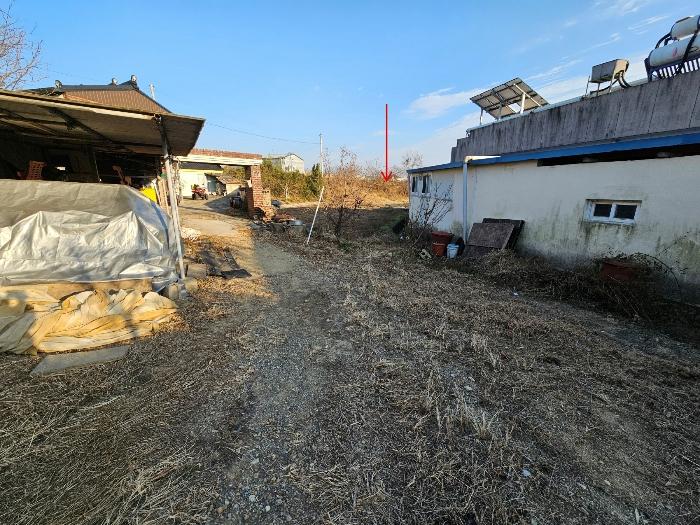 경상북도 포항시 북구 흥해읍 덕장리 809 답 경매 사진 6